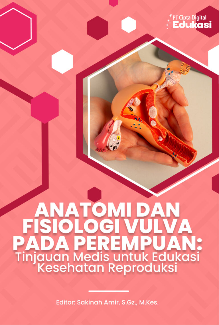 Anatomi dan Fisiologi Vulva pada Perempuan: Tinjauan Medis untuk Edukasi Kesehatan Reproduksi